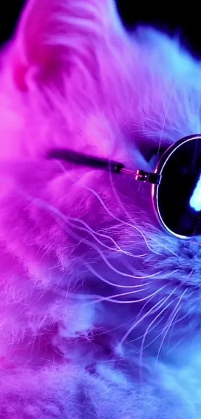 Neon cat wearing sunglasses in vibrant colors.