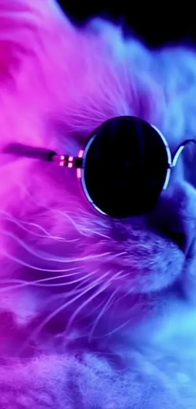 Stylish neon cat wearing sunglasses in vibrant colors.