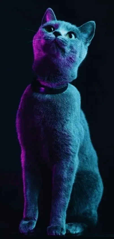 Neon-lit cat sitting in vibrant purple and blue hues.