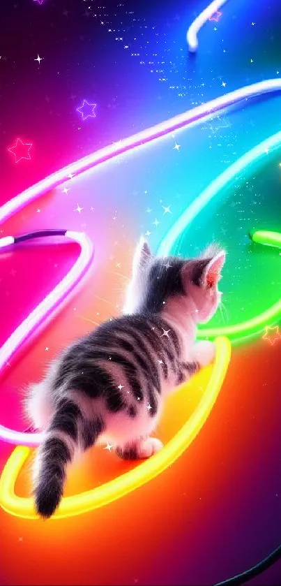 Cute cat with neon lights on a colorful wall.