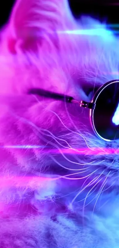 Neon cat wearing sunglasses with pink and blue glow.