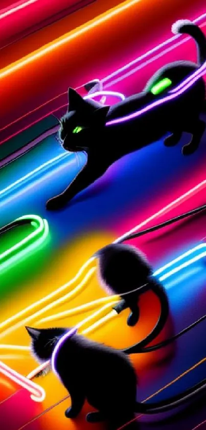 Neon cats outlined by colorful lights on a dark background.