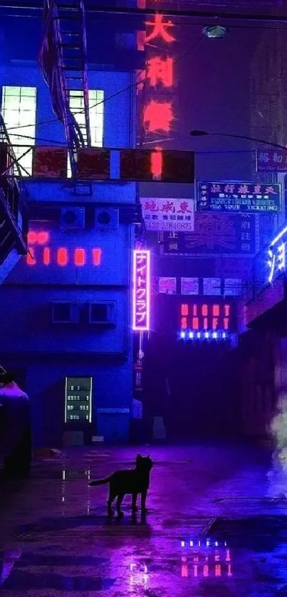 Neon-lit urban street with a cat silhouette at night.