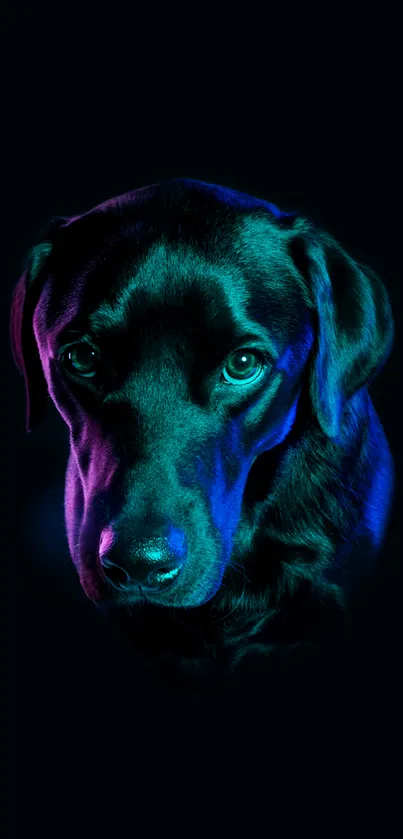 Neon-lit dog portrait on black background.