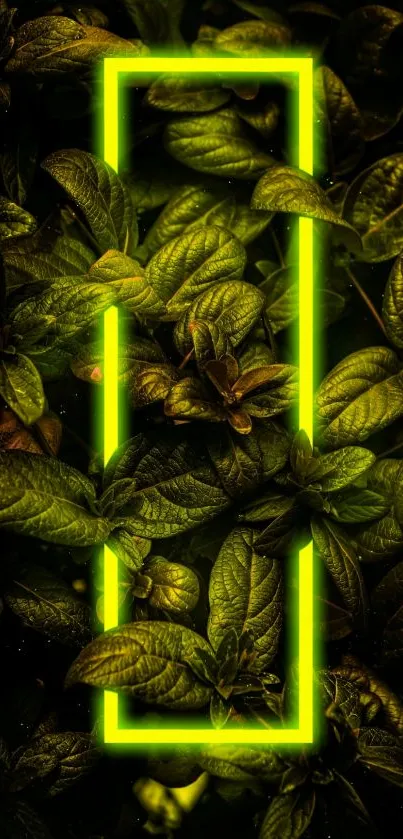 Neon frame highlights green leaves in mobile wallpaper.