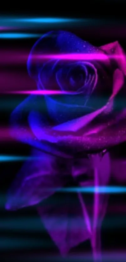 Neon glowing purple rose with bluish light streaks.