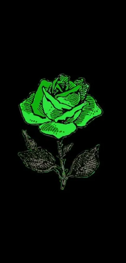 Neon green rose on black background wallpaper.