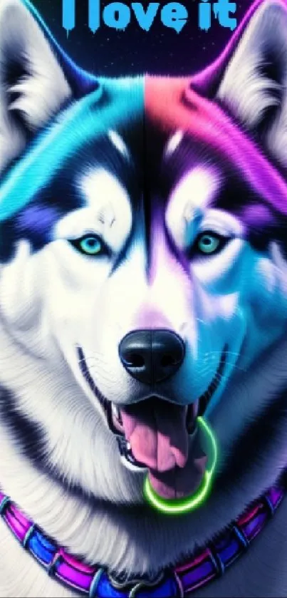 Neon husky dog with vibrant colors, glowing design.