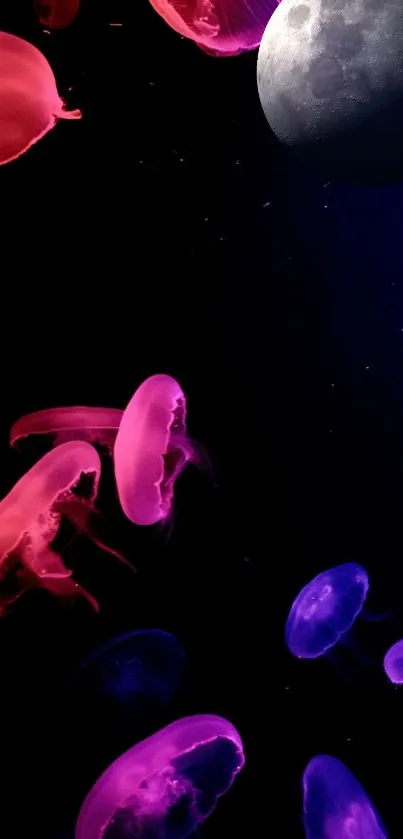 Neon pink and blue jellyfish glide under a moonlit galaxy sky.