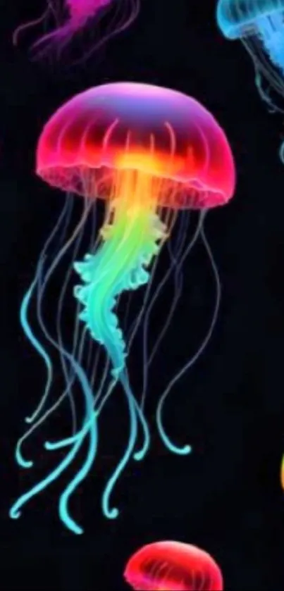 Vibrant neon jellyfish against a dark background, perfect for mobile wallpaper.