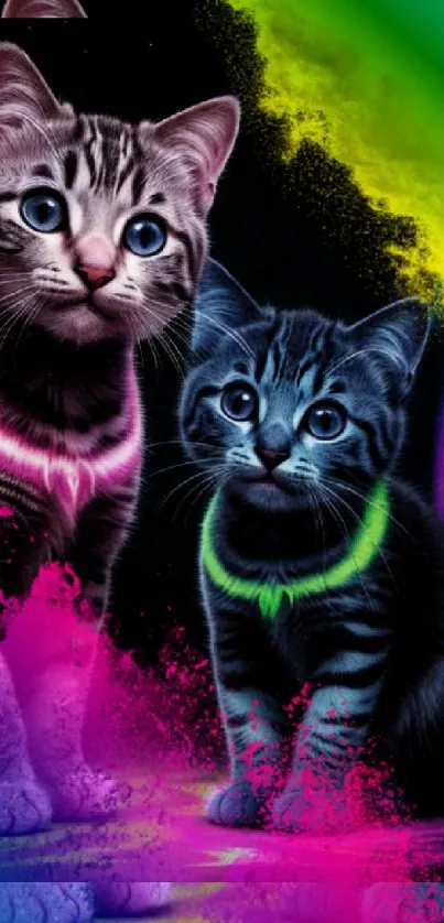 Dynamic neon kittens with colorful splashes in a vibrant digital art style.