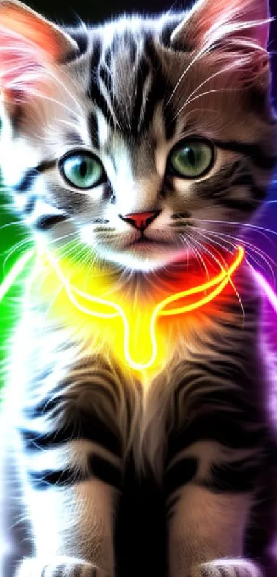 Neon glowing kitten with colorful lights