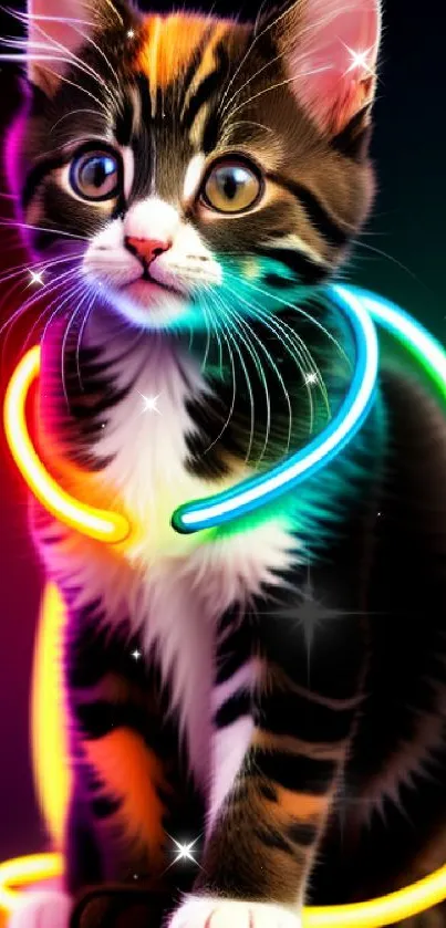 Cute kitten with neon glowing collar on a dark background.