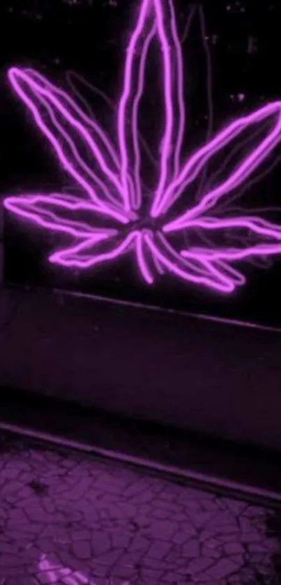 Neon purple leaf design on dark background.