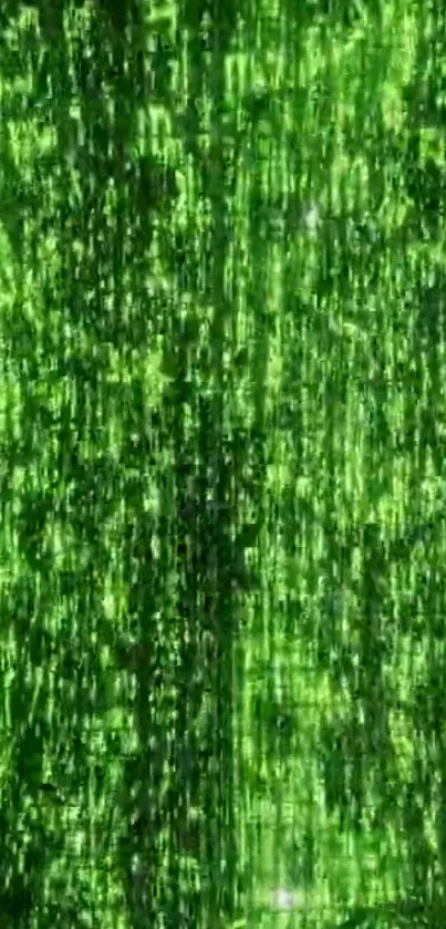 Neon green Matrix code wallpaper with digital rain effect.