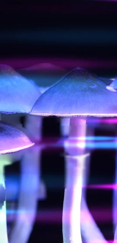 Neon-lit mushrooms glowing in a dark vibrant forest scene.