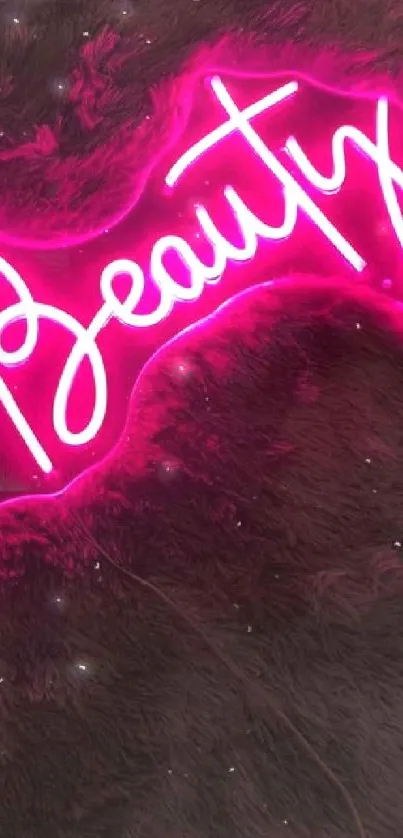 Neon pink 'Hi Beauty' sign against a dark background.