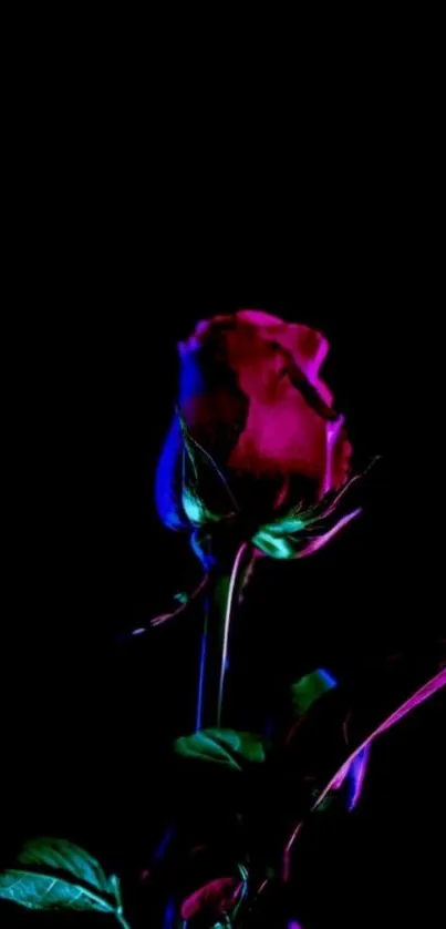 Vibrant neon rose with leaves on a black backdrop.