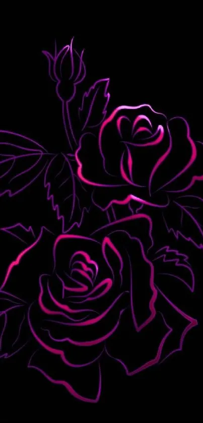 Neon pink roses with glow on black background wallpaper.