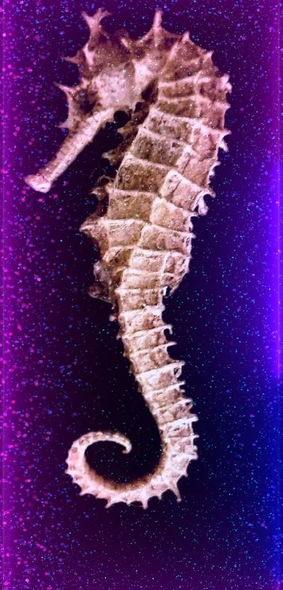 A neon seahorse on a cosmic purple background for mobile wallpaper.