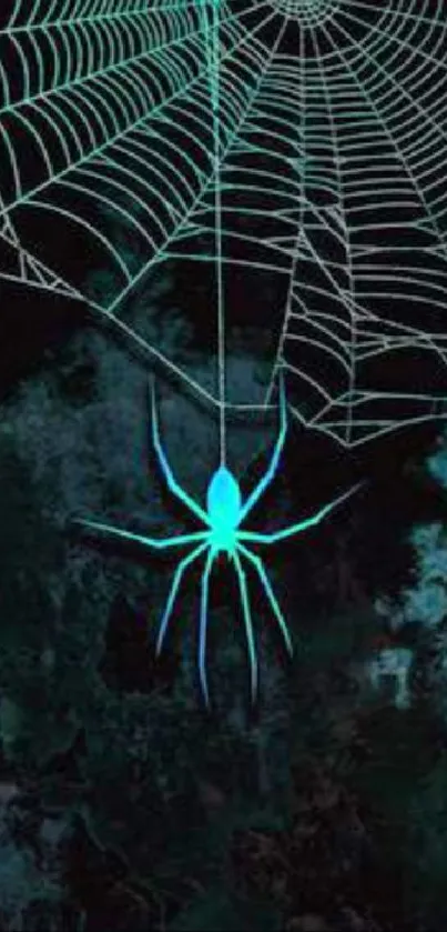 Neon spider and web with glowing blue tones on black background.