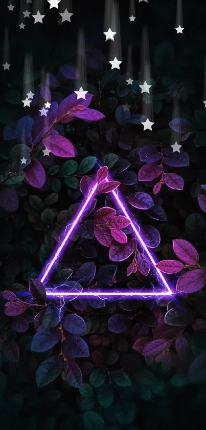 Neon triangle in dark foliage with purple leaves.