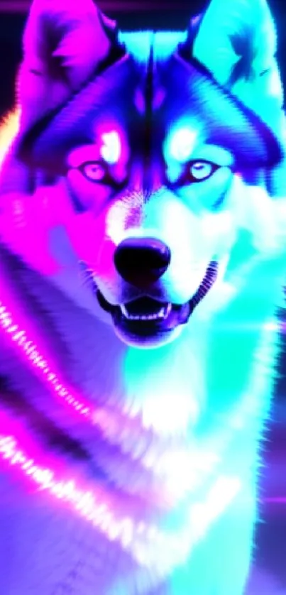 Neon wolf with cyan and magenta glow, digital art wallpaper.