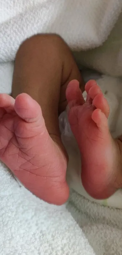 Tender image of newborn baby feet on a cozy white blanket.