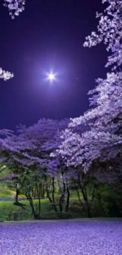 Violet night scene with cherry blossoms under a starry sky and moonlight.