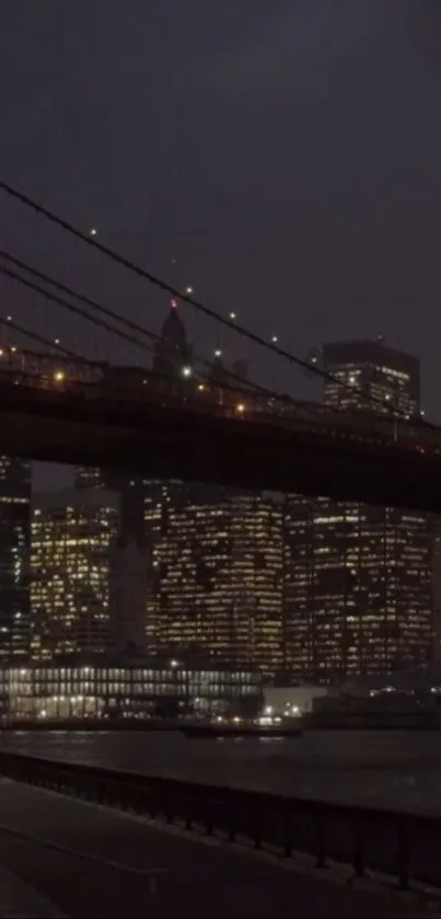 Night city bridge view with illuminated skyline.