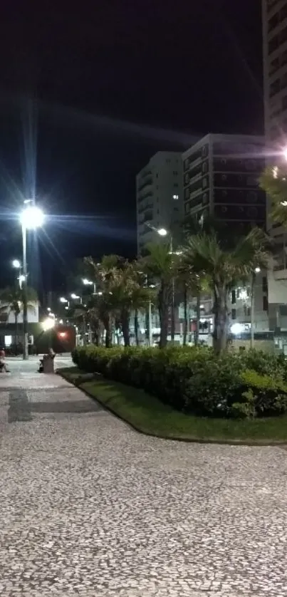 Night cityscape with palm trees and path.