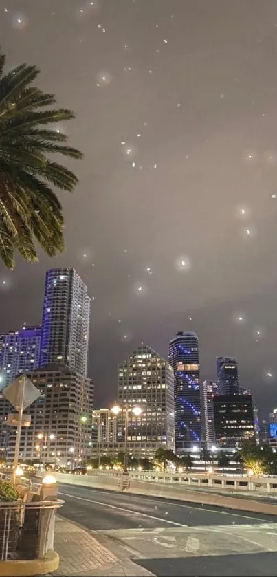 Night cityscape with palm tree and illuminated skyscrapers.