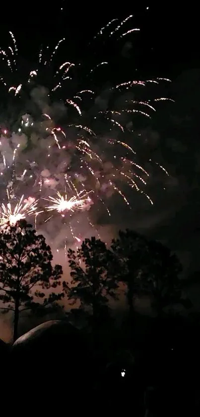 Vibrant fireworks burst in a dark night sky, silhouetting nearby trees.