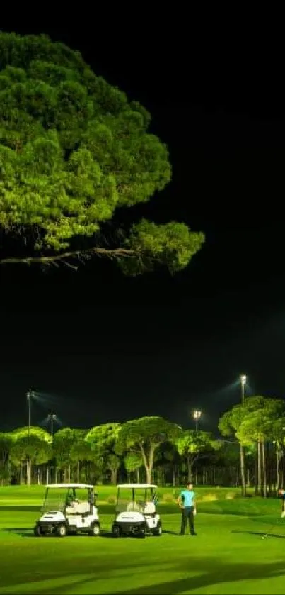 A peaceful night golf course with a large illuminated tree.