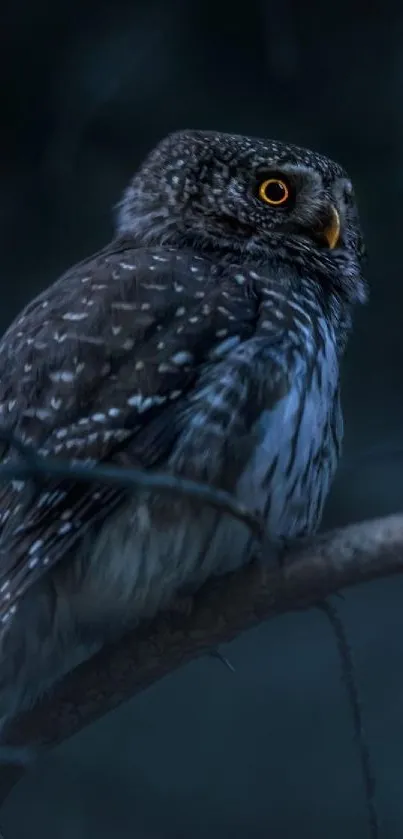 A lone owl perched on a branch in a dark, mysterious forest setting.