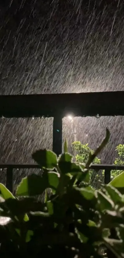 Night rain with green leaves and subtle light background.