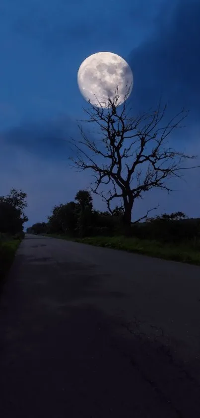 Moonlit road with a lone tree under a dark blue sky.