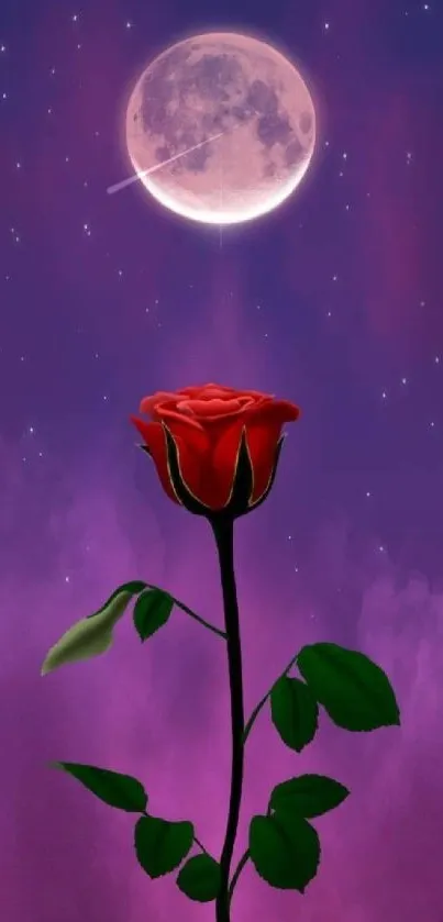 Red rose under full moon in purple night sky wallpaper.