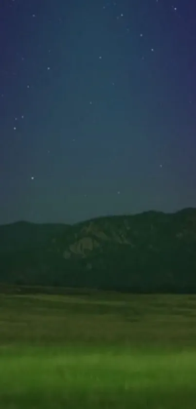 Starry night sky over serene green fields.