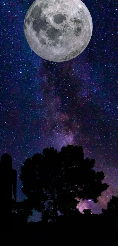 Silhouetted trees under a full moon and starry sky.