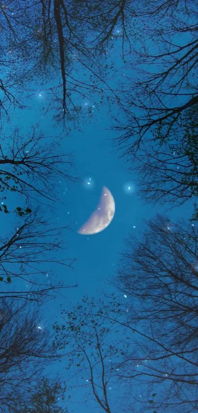 Crescent moon with night sky framed by tree branches and stars.