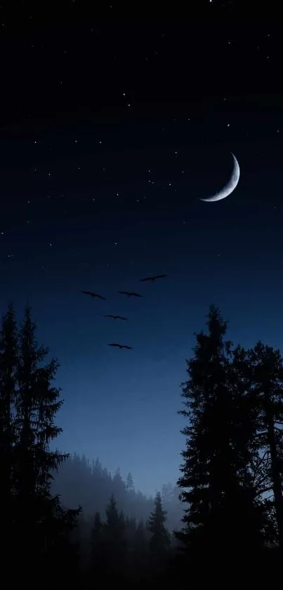 Crescent moon and forest silhouette under a starry night sky with birds flying.