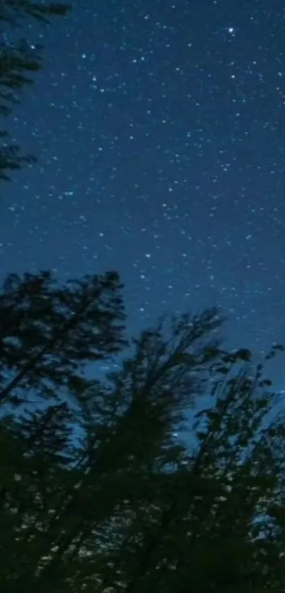 Starry night sky over forest silhouette, perfect for mobile wallpaper.