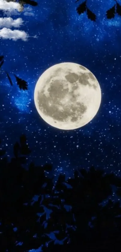 Full moon with stars and dark foliage in a night sky wallpaper.