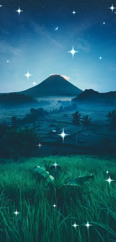 Starry night over mountain with grass in foreground.