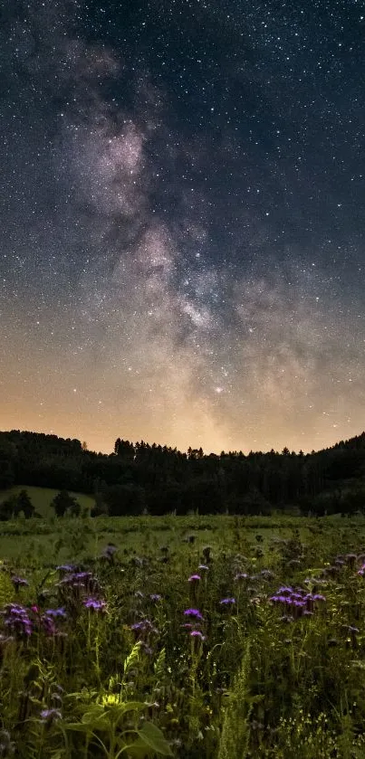 Starry night sky over wildflower field.