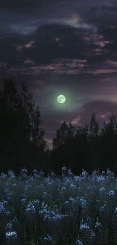 Moonlit meadow with purple night sky and glowing clouds.