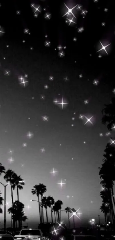 Black-and-white night sky with palm trees and stars.