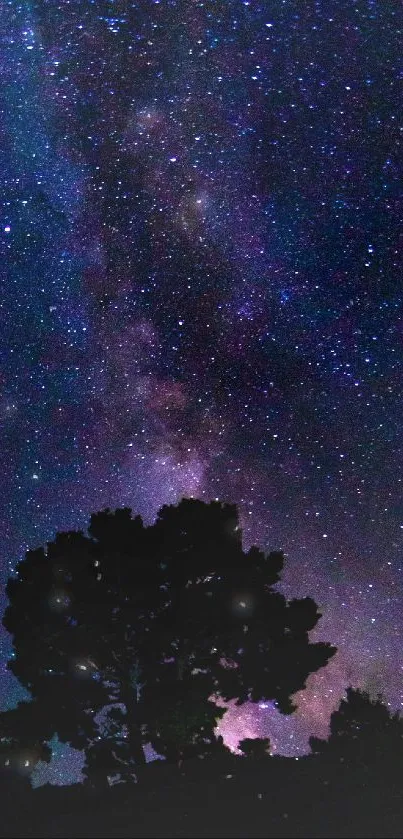 Silhouette of trees under a starry night sky with the Milky Way glowing.