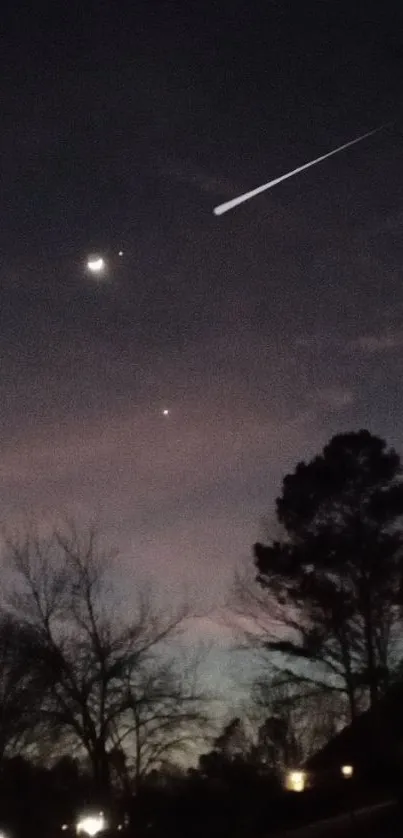 Night sky with bright stars above silhouetted trees and buildings.